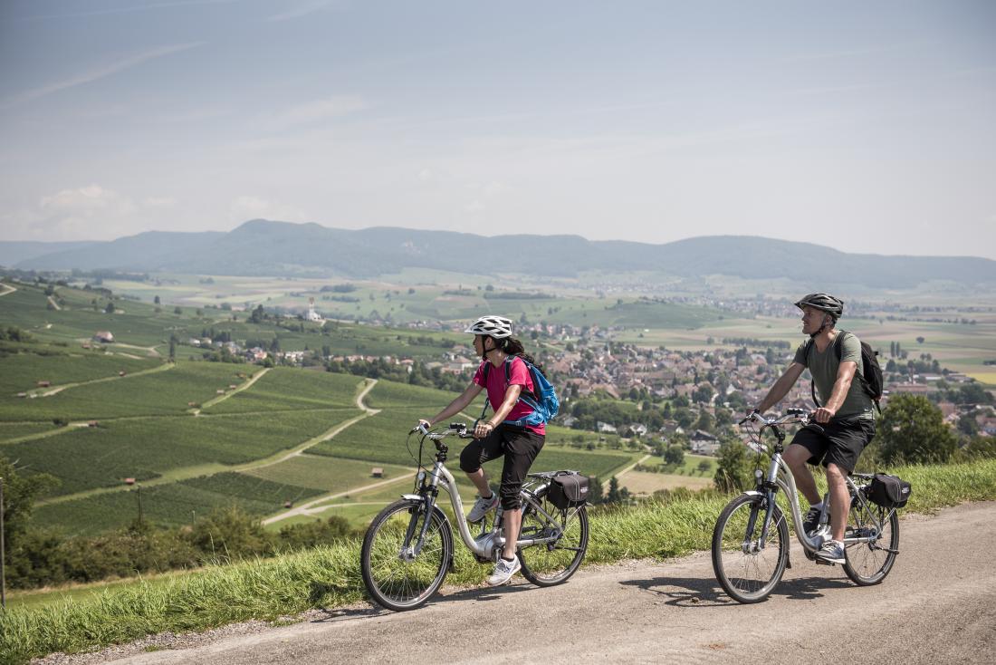 The Vineyards of Blauburgunderland Gallery
